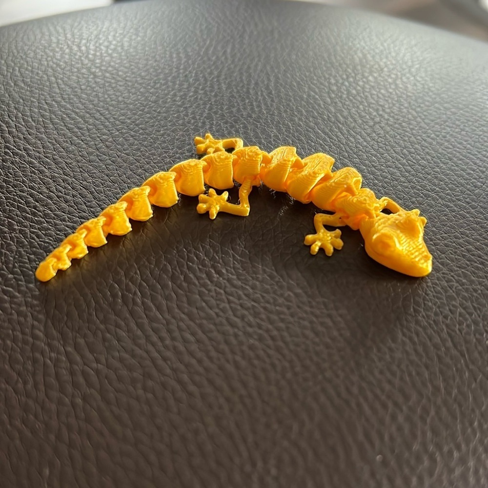 New 3D Lizard